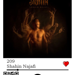 کاور آرت اهنگ 209 از شاهین نجفی